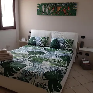 Pura Vida Appartamento